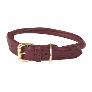 Rolled leather dog collar Weatherbeeta image-0