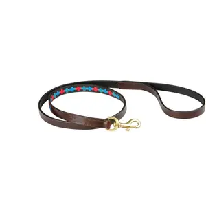 Trela de couro para cão Weatherbeeta Polo image-0