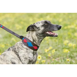 Leather dog collar Weatherbeeta Lurcher Polo shirt image-1