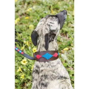 Leather dog collar Weatherbeeta Lurcher Polo shirt image-2