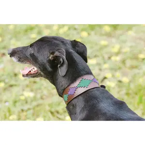 Δερμάτινο κολάρο για σκύλους Weatherbeeta Lurcher Polo image-1