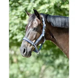Licol pour cheval en nylon rembourré Weatherbeeta image-0