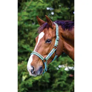 Licol pour cheval en nylon rembourré Weatherbeeta image-0