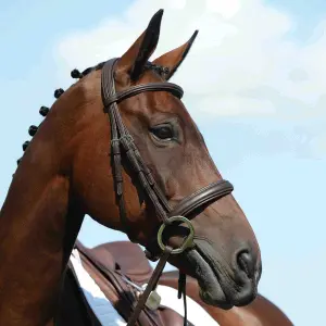 Αυξημένα καπίστρια ιππασίας Weatherbeeta Collegiate Syntovia+ image-0