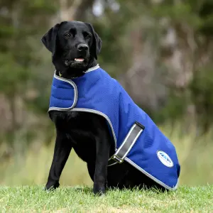 Manteau pour chien Weatherbeeta ComFiTec Premier Free Parka image-1