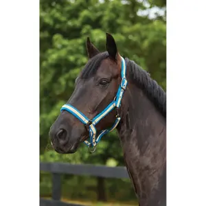 Licol pour cheval en nylon rembourré Weatherbeeta image-0