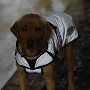 Manteau pour chien réfléchissant Weatherbeeta Comfitec moyen image-2