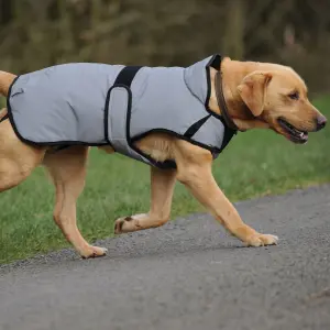 Manteau pour chien réfléchissant Weatherbeeta Comfitec moyen image-4