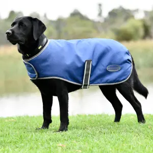 Casaco de cão Weatherbeeta ComFiTec Windbreaker Free image-0