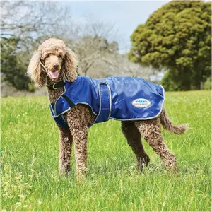 Μπουφάν για σκύλο Weatherbeeta ComFiTec Windbreaker Free Deluxe image-0