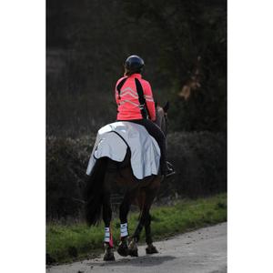 Reflective waterproof horse rug Weatherbeeta image-5