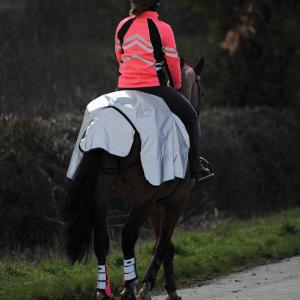 Reflective waterproof horse rug Weatherbeeta image-6
