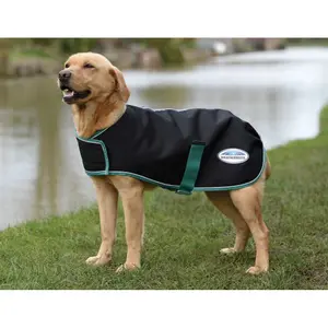 Dog Blanket Weatherbeeta Green-Tec Lite Plus image-0