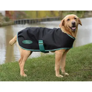 Dog Blanket Weatherbeeta Green-Tec Lite Plus image-1