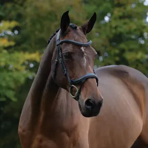 Anatomische hoofdstellen Weatherbeeta Collegiate Comfitec Vogue image-1