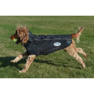 Active reflective dog coat Weatherbeeta Comfitec image-2