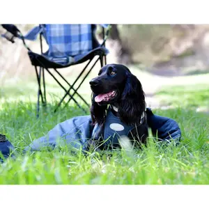 Lukket sovepose til hunde Weatherbeeta Explorer image-2
