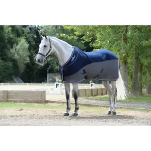 Couverture séchante pour cheval Weatherbeeta Thermo-air image-2
