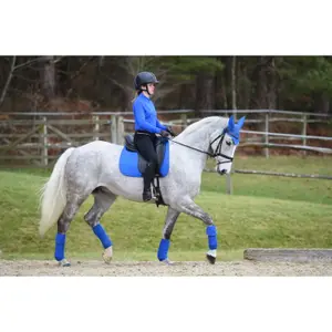 Maillot équitation manches longues femme Weatherbeeta Prime image-4