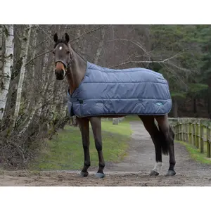 Manta de cuadra Weatherbeeta Green-Tec Medium 200g image-0