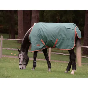 Outdoor paardendeken Weatherbeeta Comfitec Tyro 200g image-1