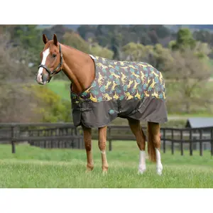 Outdoor paardendeken Weatherbeeta Comfitec Tyro 50g image-2