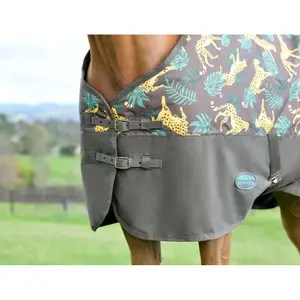 Outdoor paardendeken Weatherbeeta Comfitec Tyro 50g image-5
