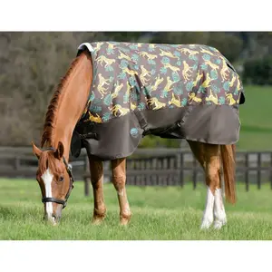 Outdoor paardendeken Weatherbeeta Comfitec Tyro 50g image-1