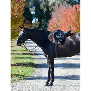 Almofada de sela para cavalos Weatherbeeta Prime Comfy All Purpose Numnah image-1