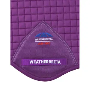 product/w/e/weatherbeeta_1028251031_violet_2.jpg