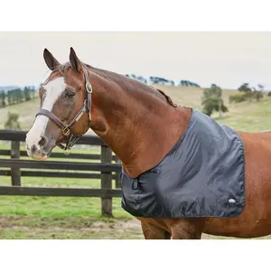 Satin Brustschutz für Pferde Weatherbeeta image-0