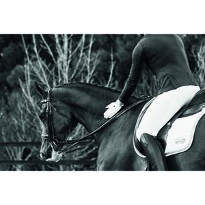 Women's riding leggings Dublin Performance Cool-It Gel image-1