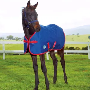 Outdoor blanket for foals ii Weatherbeeta 1200D 220g image-1