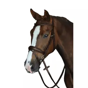 Padded riding bridles Weatherbeeta Collegiate Mono Crown image-0