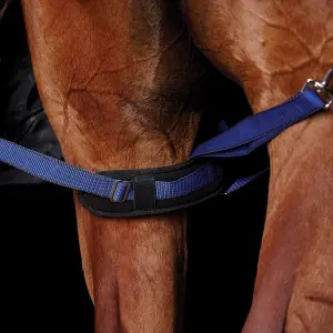 Sangle de jambe rembourrées pour cheval Weatherbeeta image-0