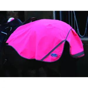 Reflektierende, wasserdichte Nierendecke für Pferde Weatherbeeta 300D image-0