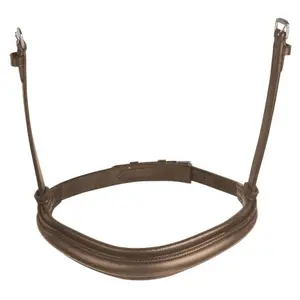 Muserolle cheval Weatherbeeta Collegiate Mono Crown Cavesson image-0