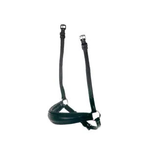 Horse cheek pieces Weatherbeeta Collegiate Mono Crown image-0