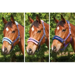 Licol pour cheval Weatherbeeta Saxon Element image-1