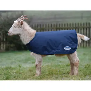 Coat for goat Weatherbeeta image-0