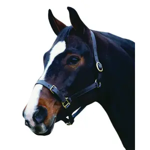 Καπίστρι αλόγου από δέρμα Weatherbeeta Collegiate Comfitec image-0