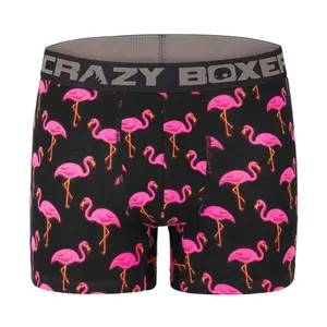 Boxer Crazy Boxer Flamingo image-1