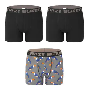 Boxer Crazy Boxer Toucan image-1