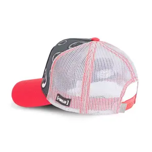 Cap Capslab Dragon Ball Kame image-0