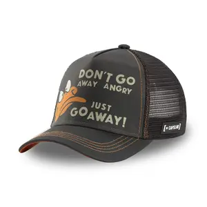 Gorra Capslab Looney Tunes Daffy image-0