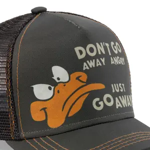 Gorra Capslab Looney Tunes Daffy image-3