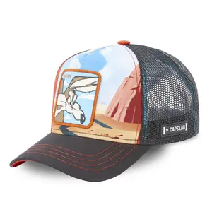 Cap Capslab Looney Tunes Coyote image-0