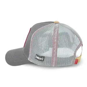 Cap Capslab Looney Tunes Taz image-2