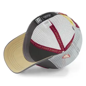 Cap Capslab Looney Tunes Taz image-3