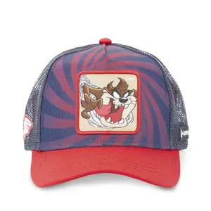 Gorra Capslab Looney Tunes Taz image-2